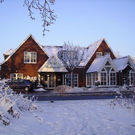 Hotel Waldquelle 아우리흐 외부 사진